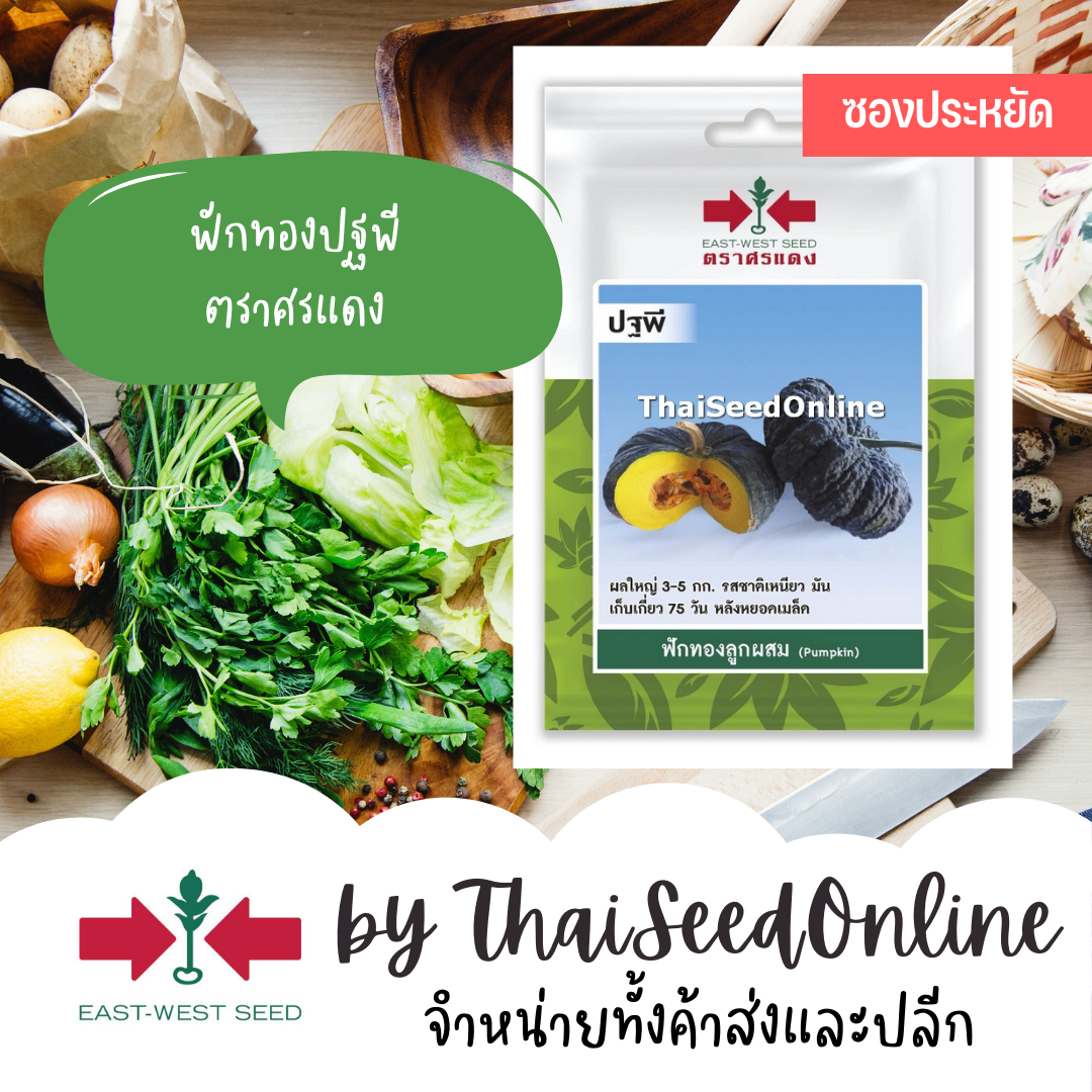 ศรแดง VP3 ซฟ เมล็ดพันธุ์ ฟักทองลูกผสม ปฐพี 10เมล็ด ตราศรแดง Pumpkin Medium Size 3-5 kg.