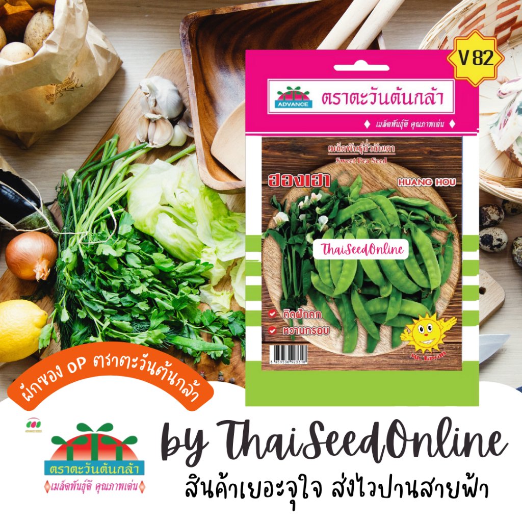 Advance Seeds(ตราตะวันต้นกล้า) ADVOP ซฟ เมล็ดพันธุ์ ถั่วลันเตา ฮองเฮา ตราตะวันต้นกล้า V82 Sugar Pea 豌豆