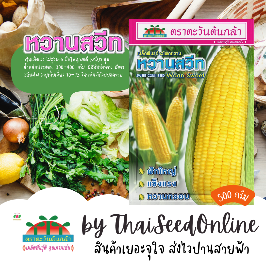 ADV Exp. 4/69 ถุง 500กรัม 🔥ใหม่🔥เมล็ดพันธุ์ข้าวโพดหวาน หวานสวีท 500 กรัม ตราตะวันต้นกล้า