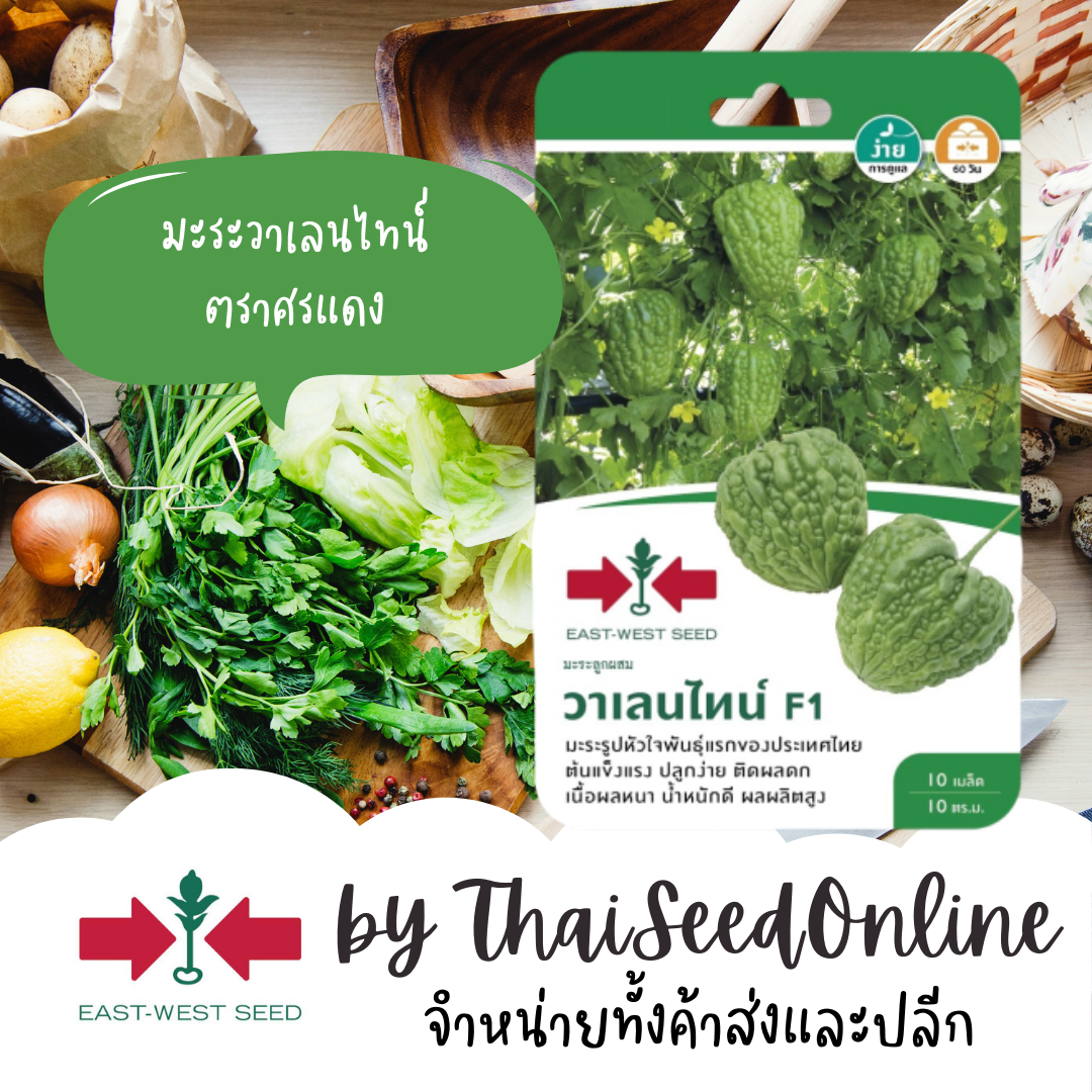 GGEW เมล็ดพันธุ์ซฟ มะระ มะระจีนลูกผสม วาเลนไทน์ 10 เมล็ด ตราศรแดง มะระ Bitter Gourd