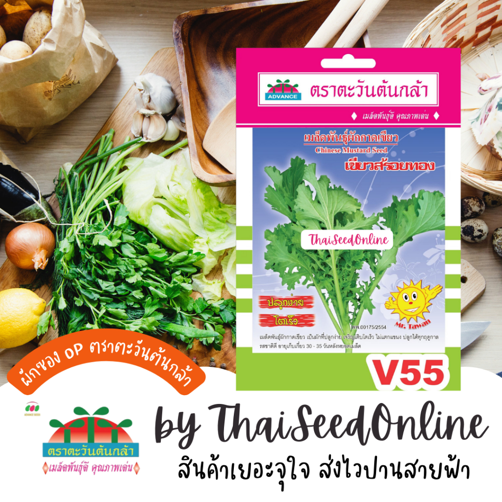 Advance Seeds(ตราตะวันต้นกล้า) ADVOP ซฟ เมล็ดพันธุ์ เขียวน้อย กาดสร้อย เขียวสร้อยทอง ตราตะวันต้นกล้า V55