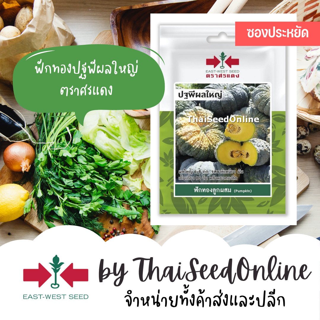 ศรแดง VP3 ซฟ เมล็ดพันธุ์ ฟักทองลูกผสม ปฐพีผลใหญ่ 10เมล็ด ตราศรแดง Pumpkin 5-7Kg.