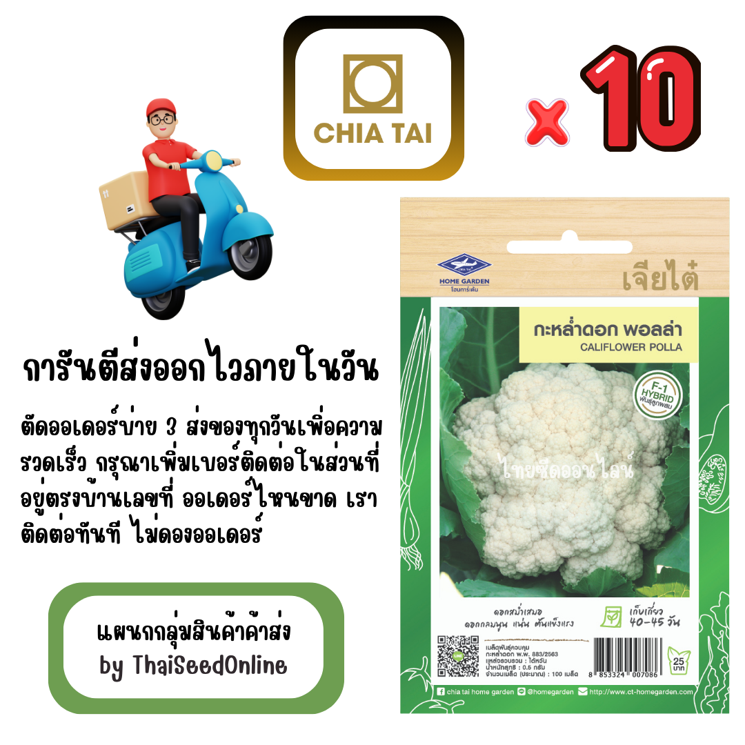 CTF1 x 10 เมล็ดผักซองเจียไต๋ กะหล่ำดอก พอลล่า สินค้ายกแพ็ค