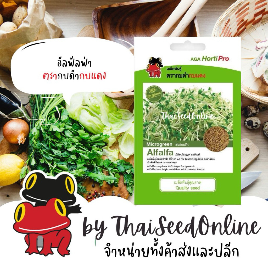 AGA Horti Pro(เอกะฮอร์ติโปร) AGA Horti Pro(เอกะฮอร์ติโปร) ซฟ เมล็ดพันธุ์ อัลฟัลฟ่า ตรากบดำกบแดง Alfalfa