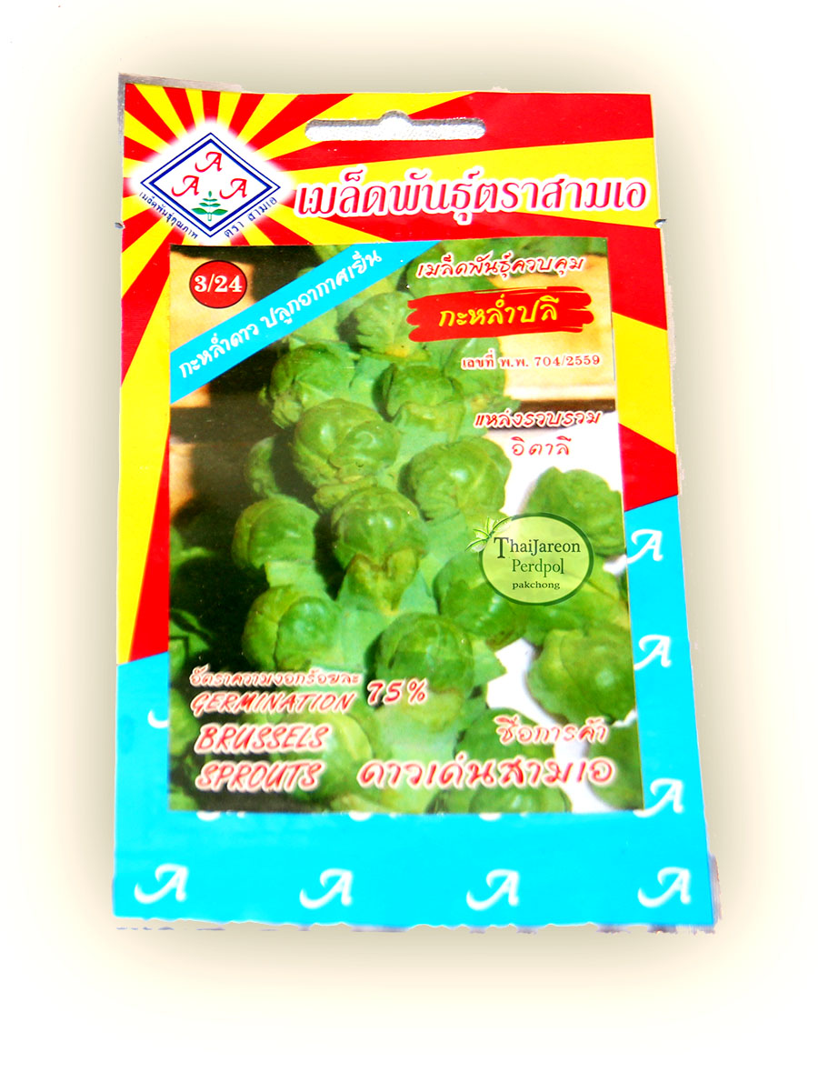 เมล็ดพันธุ์กะหล่ำดาว Brussels sprouts