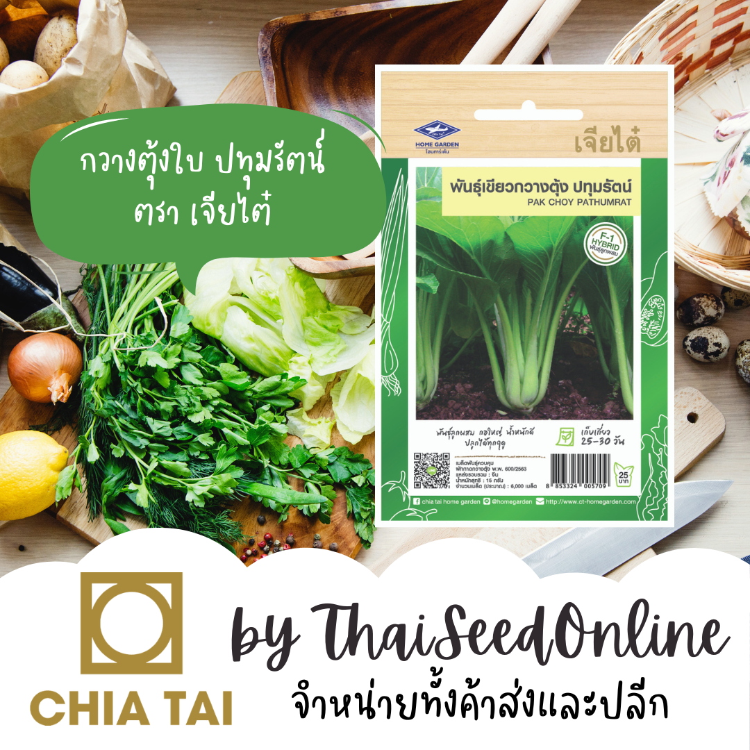 CTF1 เมล็ดพันธุ์ เขียวกวางตุ้ง ปทุมรัตน์ 7500 เมล็ด ตราเจียไต๋ Pak Choy