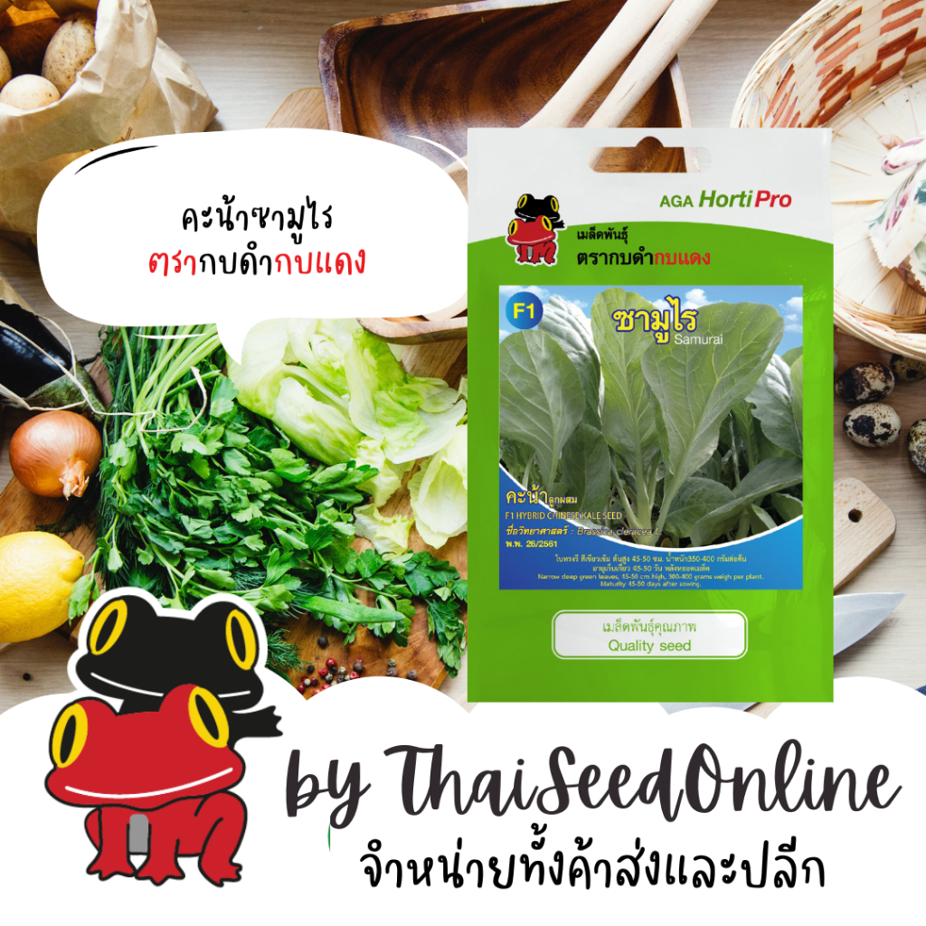 AGA Horti Pro(เอกะฮอร์ติโปร) ซฟ เมล็ดพันธุ์ คะน้าซามูไร ตรากบดำกบแดง Kale