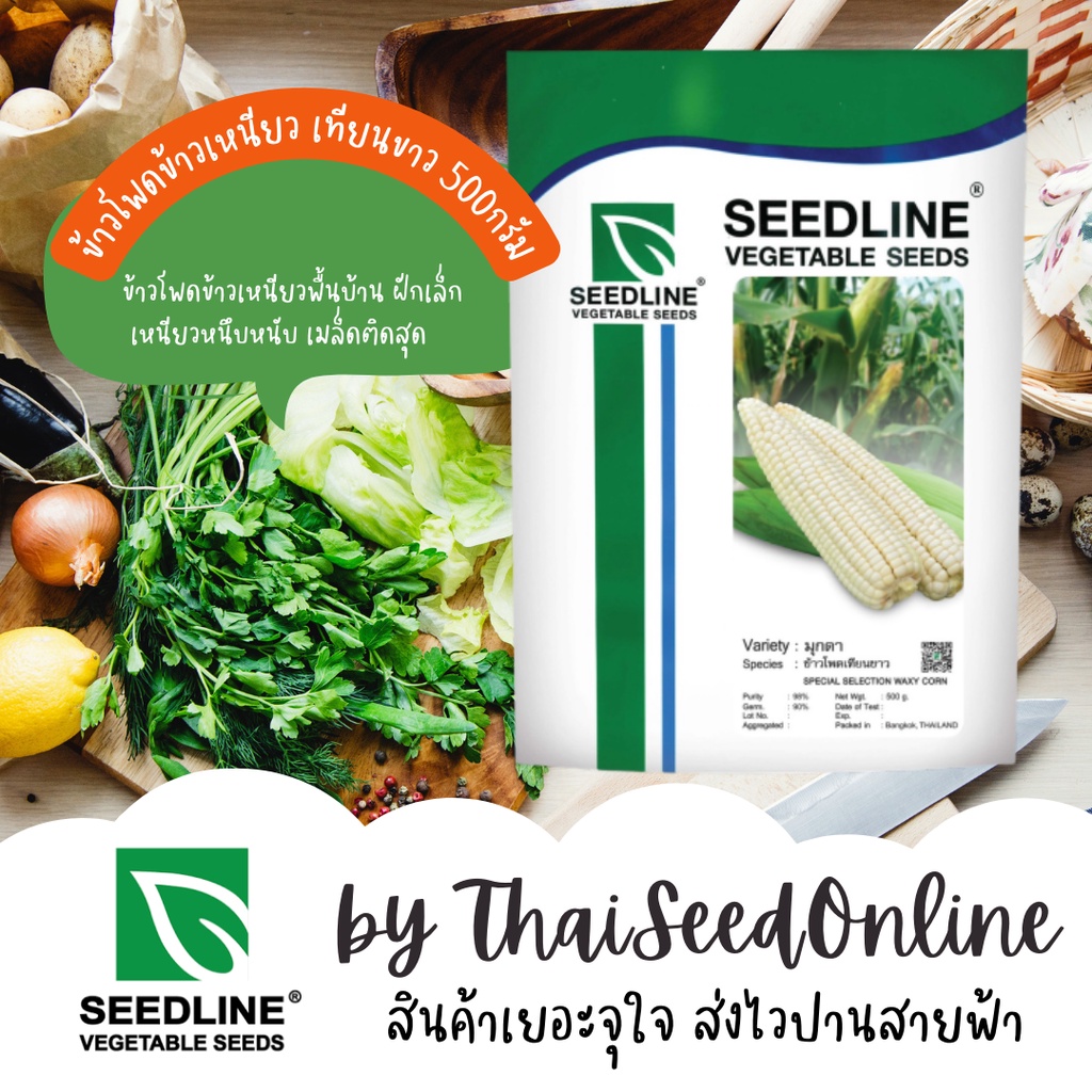 500กรัม เมล็ดพันธุ์ ข้าวโพดเทียนดั้งเดิม ของแท้ ซะรอย สรอย ตราซีดไลน์ Waxy Corn Small Type