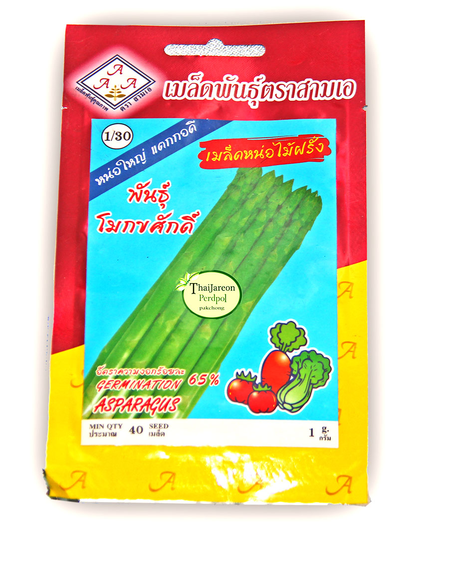 เมล็ดพันธุ์หน่อไม้ฝรั่ง พันธุ์ โมกขศักดิ์