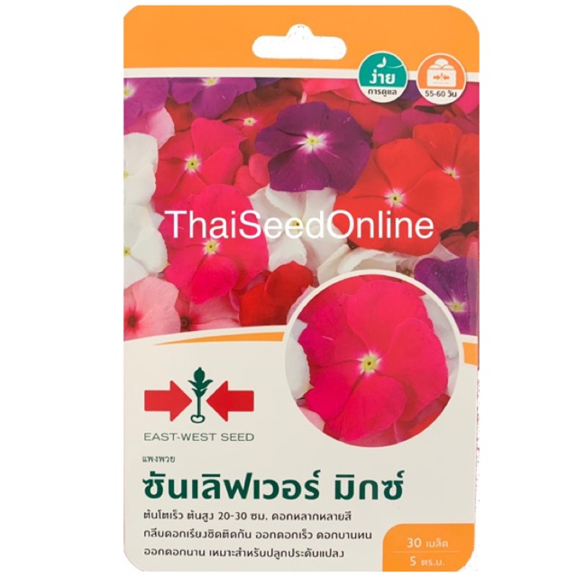GGEW เมล็ดพันธุ์ซฟ ดอกไม้ แพงพวย ซันเลิฟเวอร์ มิกซ์ 30 เมล็ด ตราศรแดง