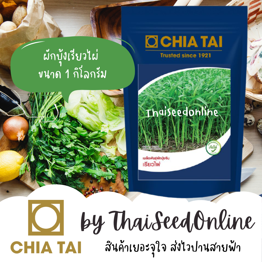 CTCOM เมล็ดพันธุ์ ผักบุ้งจีนใบไผ่ เรียวไผ่ 1 กิโลกรัม ตราเจียไต๋ Chinese Convolvulus