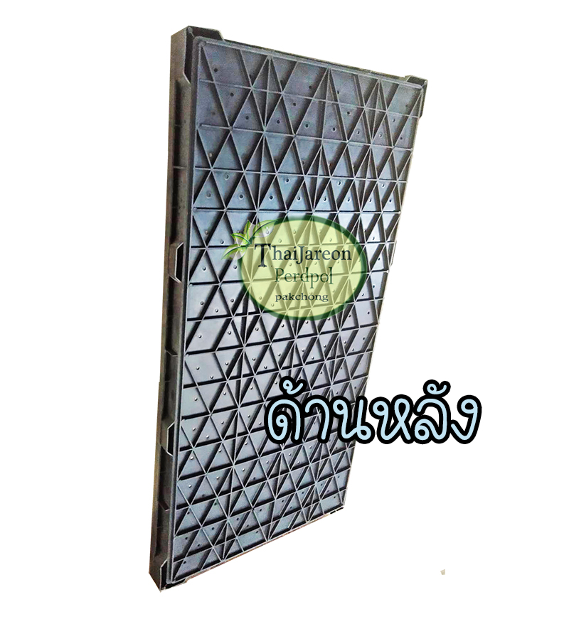 ถาดเพาะต้นอ่อนทานตะวัน ถาดเพาะต้นอ่อน ถาดเพาะถั่วงอก