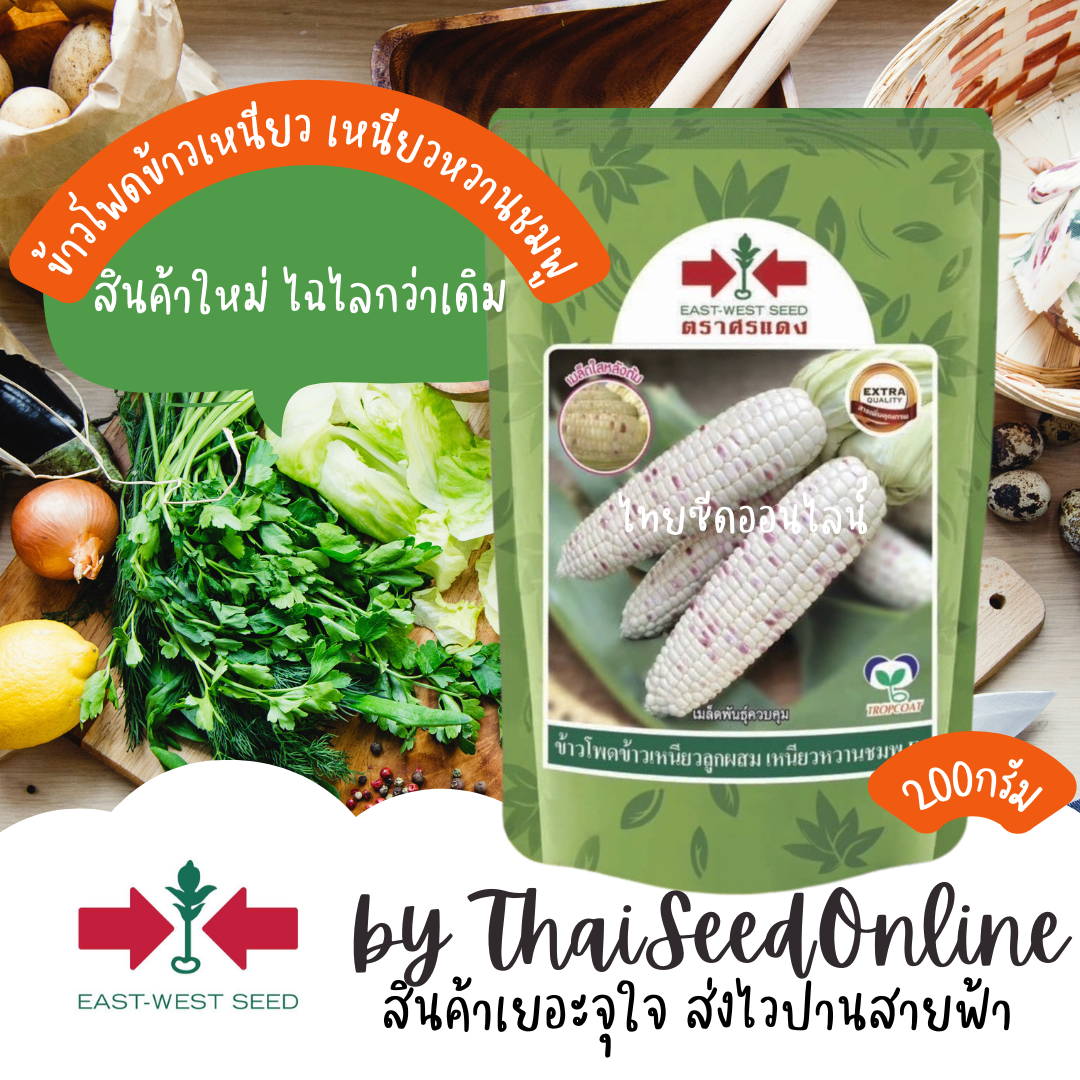 EWCOM 200กรัม เมล็ดพันธุ์ ข้าวโพดเหนียวหวานชมพู ตราศรแดง Waxy Corn