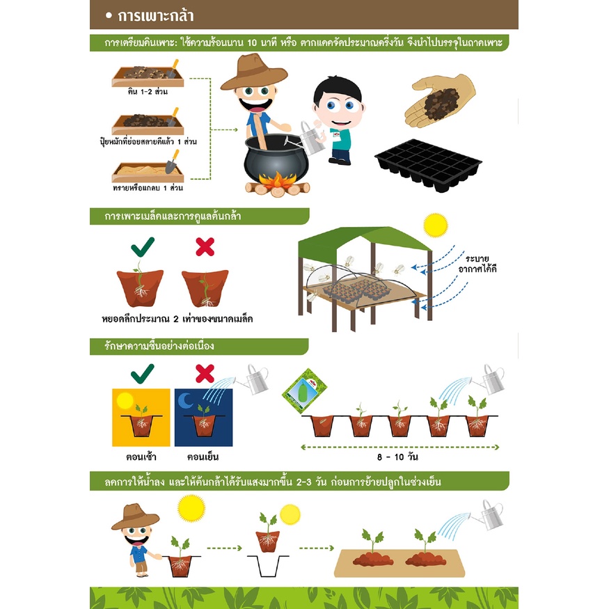 GGEW เมล็ดพันธุ์ซฟ แฟงไส้ตัน ปิ่นทอง 50 เมล็ด ตราศรแดง