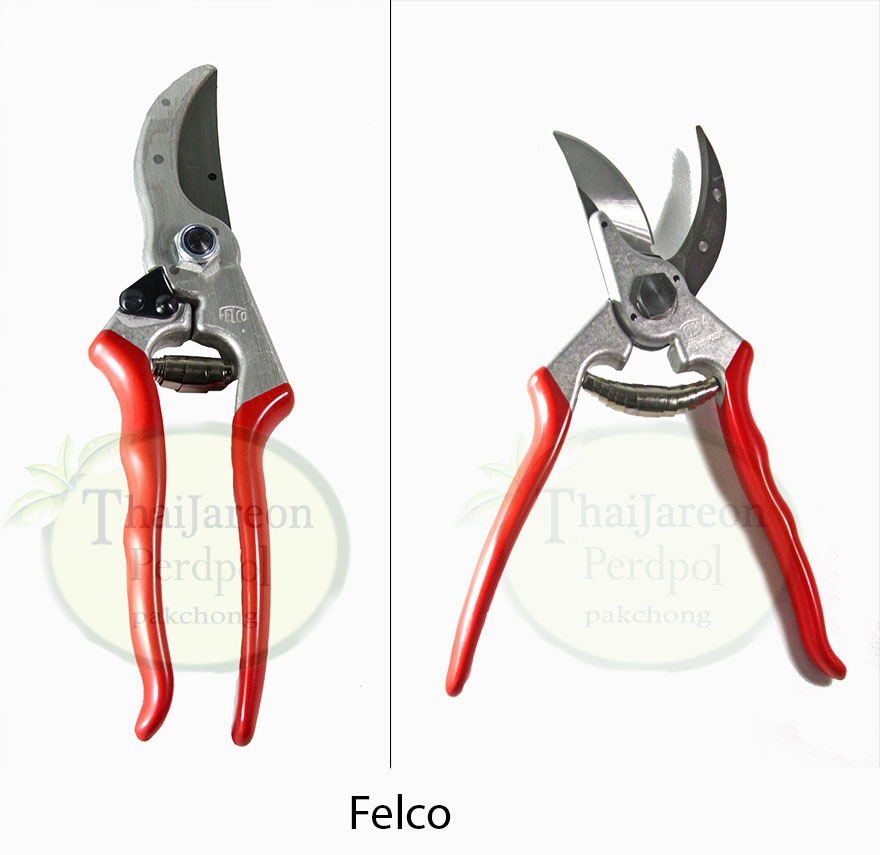 กรรไกรตัดกิ่ง กรรไกรตัดกิ่งไม้ Felco นำเข้า ( Felco 4 )