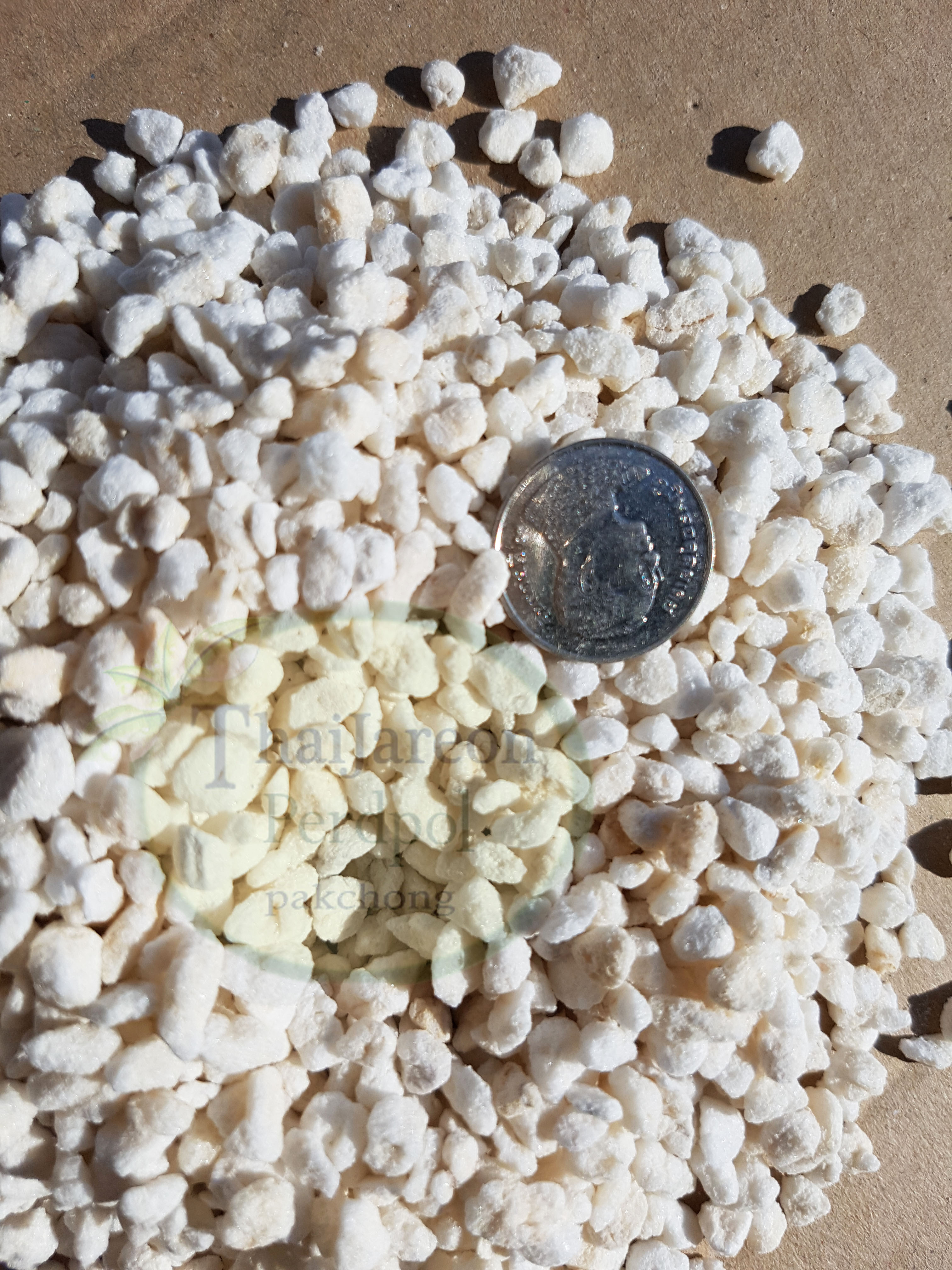 เพอร์ไลต์ (Perlite) วัสดุปลูก ไฮโดรโปนิกส์ หินภูเขาไฟอุ้มน้ำสูง