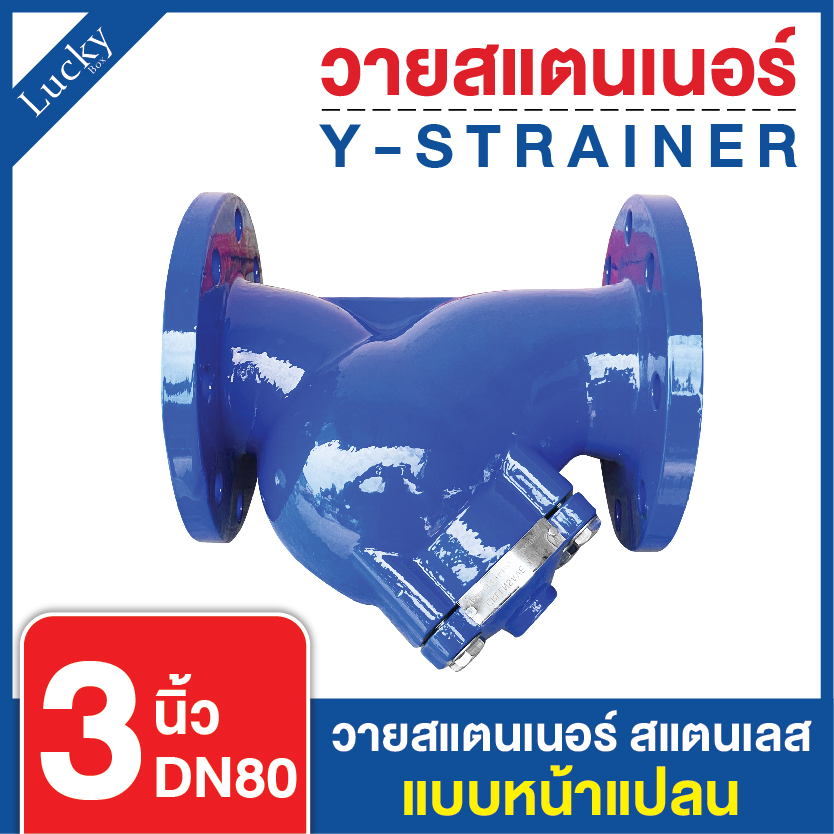 Y Strainer วายสแตนเนอร์ เหล็กหล่อ ขนาด 3 นิ้ว แบบหน้าแปลน 10K