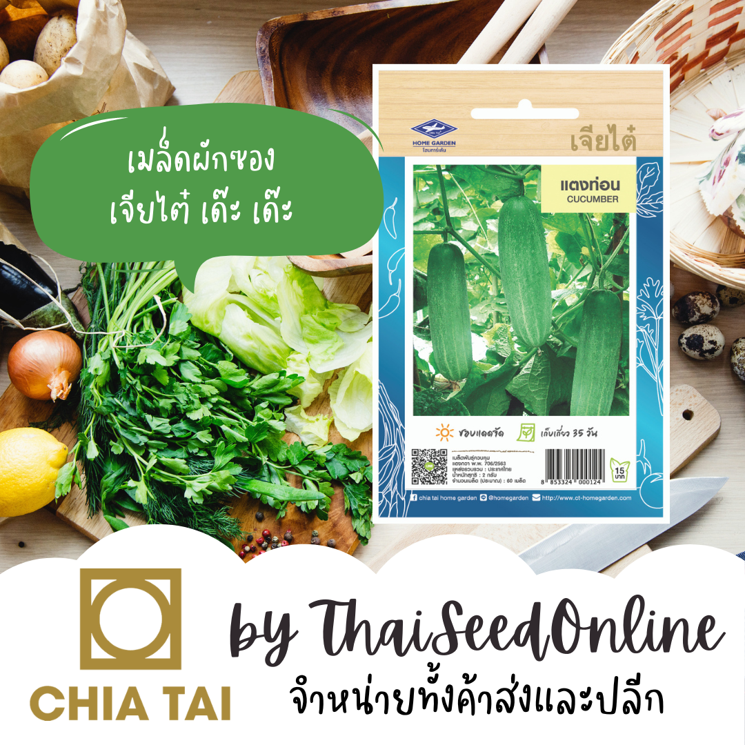 CTOP เมล็ดพันธุ์ แตงท่อน ตราเจียไต๋ แตงกวาลูกยาวกว่าปกติเล็กน้อย
