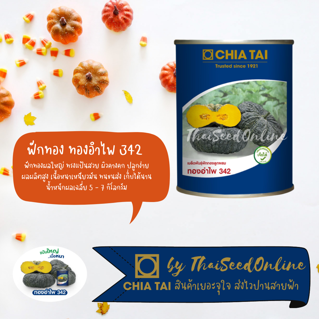 CTCOM เมล็ดพันธุ์ กป 100 กรัม ฟักทอง ทองอำไพ342 ตราเจียไต๋