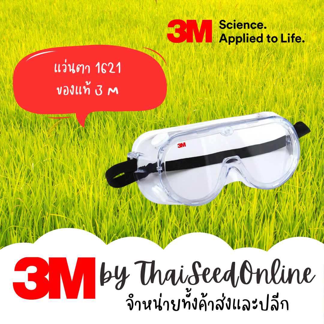 3M แว่นครอบตา แว่นตา นิรภัย 1621 Safety Glasses