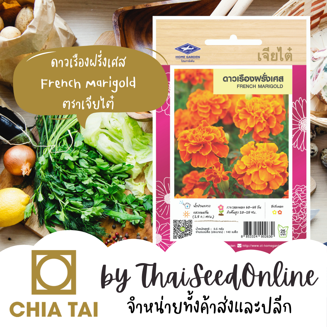 CTFW ดาวเรืองฝรั่งเศส ตราเจียไต๋ เมล็ดดอกไม้ เมล็ดพันธุ์ดอกไม้