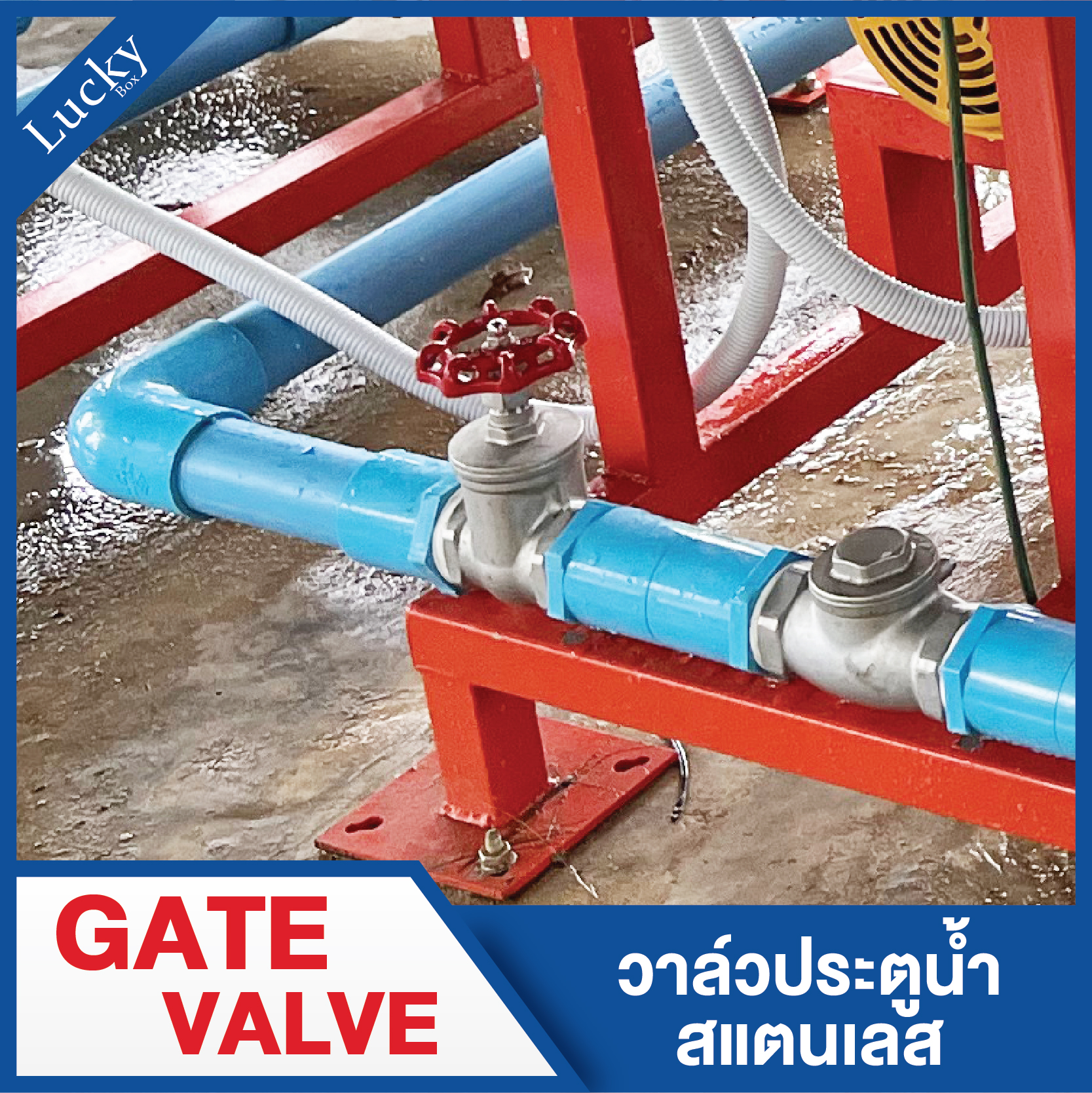 Gate valve (เกทวาล์ว) วาล์วประตูน้ำสแตนเลส ขนาด 2 นิ้ว