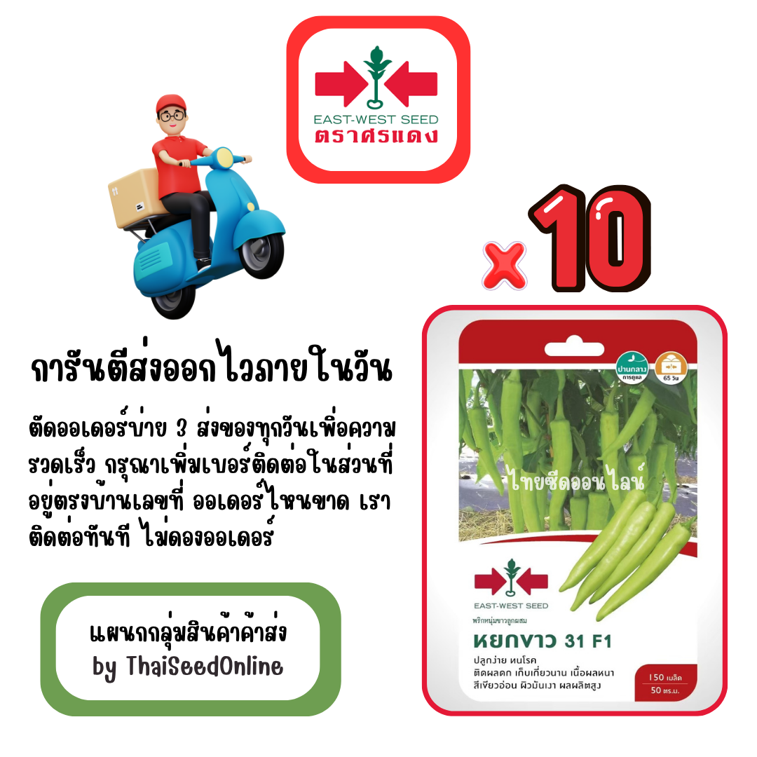 GGx10 เมล็ดผักซองศรแดง หยกขาว พริกหนุ่มขาว สินค้ายกแพ็ค