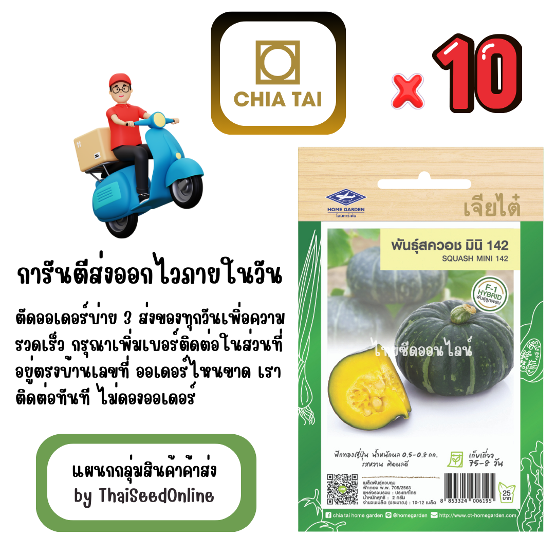 CTF1 x 10 เมล็ดผักซองเจียไต๋ ฟักทอง สควอช มินิ 142 สินค้ายกแพ็ค