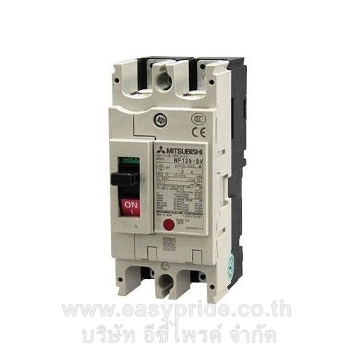 NF125 SV 2P 100A
