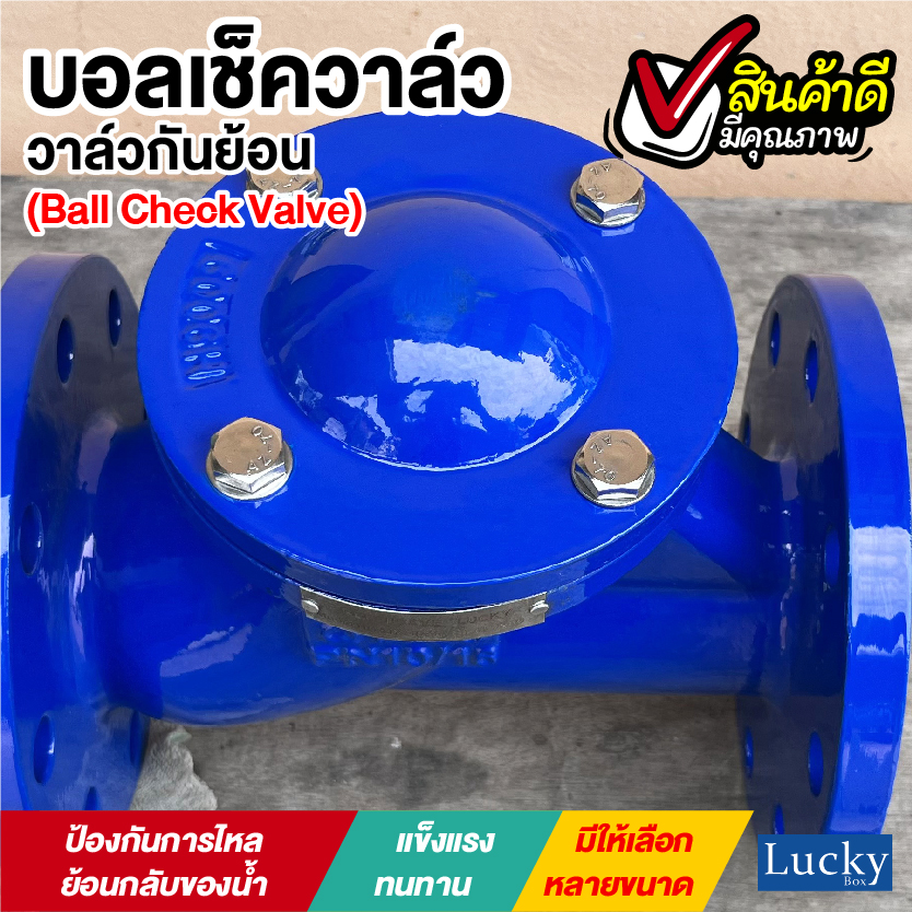 Ball Check Valve บอลเช็ควาล์ว มีหน้าแปลน ขนาด 6 นิ้ว