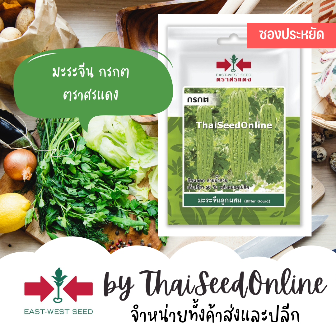 ศรแดง VP3 ซฟ เมล็ดพันธุ์ มะระจีนลูกผสม กรกต 5เมล็ด ตราศรแดง Bitter Gourd