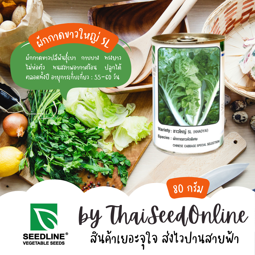 SLCOM เมล็ดพันธุ์ กป ผักกาดขาวคัดพิเศษ ขาวใหญ่ SL (KHAOYAI SL) ตราซีดไลน์
