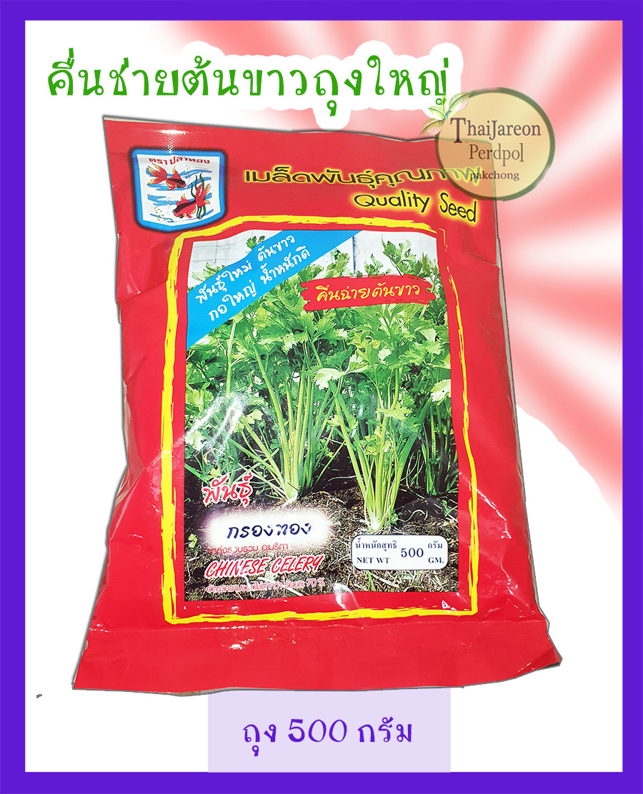 เมล็ดพันธุ์คื่นช่าย ตรากรองทอง ต้นขาว