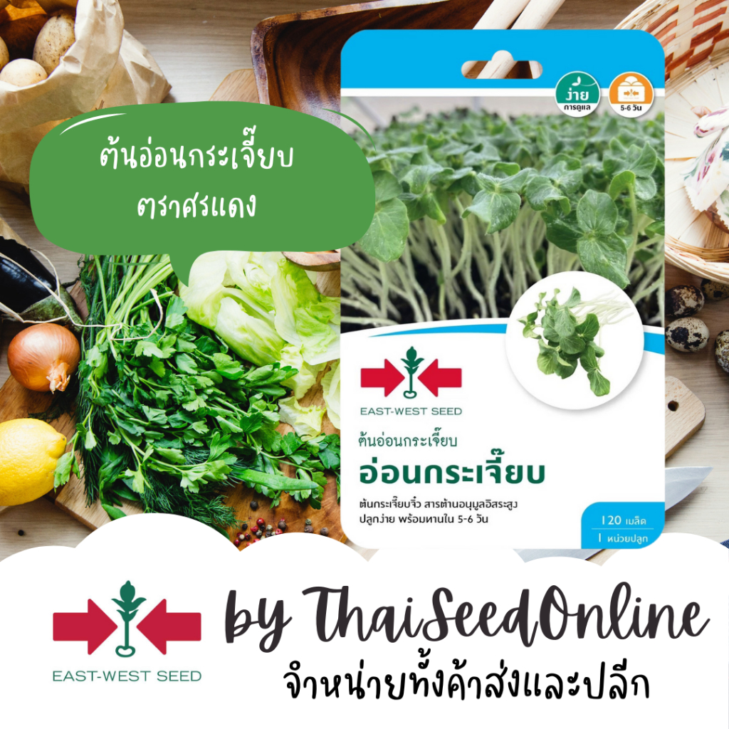 Sorndang(ศรแดง) GGEW เมล็ดพันธุ์ ต้นอ่อนกระเจี๊ยบงอก อ่อนกระเจี๊ยบ 120 เมล็ด ตราศรแดง Okra Sprout Seeds Microgreens