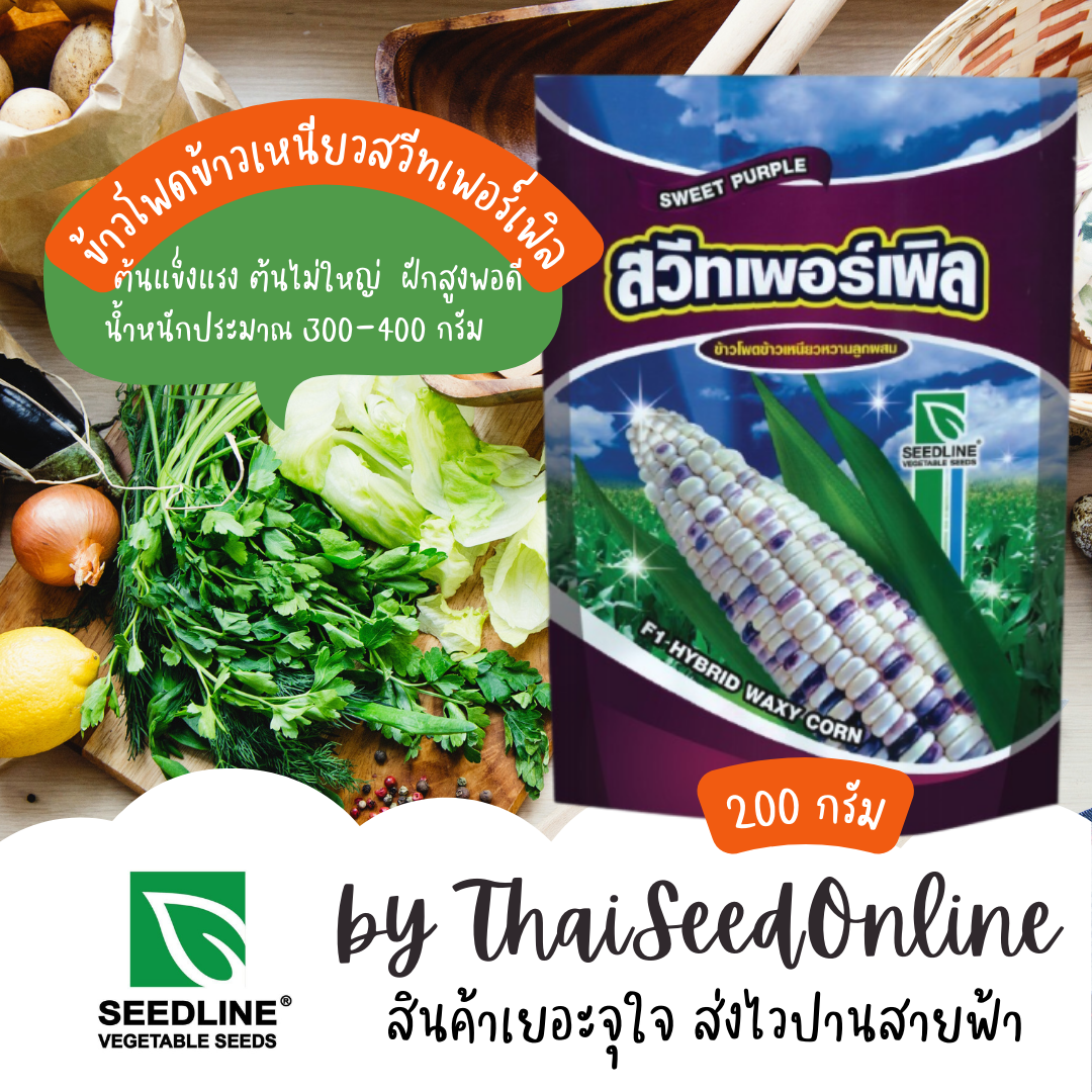 200 กรัม 🔥ยอดขายปีละ1ตัน🔥200 กรัม Exp.4/2026 เมล็ดพันธุ์ ข้าวโพดลูกผสม ข้าวโพดข้าวเหนียว สวีทเพอร์เพิ้ล ตราซีดไลน์ 200 กรัม Waxy Corn Sweet Purple