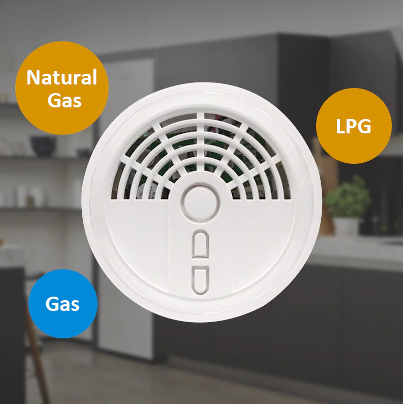 Wireless Gas(LPG) Detector Wireless-Gas(CO)-Detector-Smartplus อุปกรณตัวจับแก๊สแบบไร้สาย Smartplus