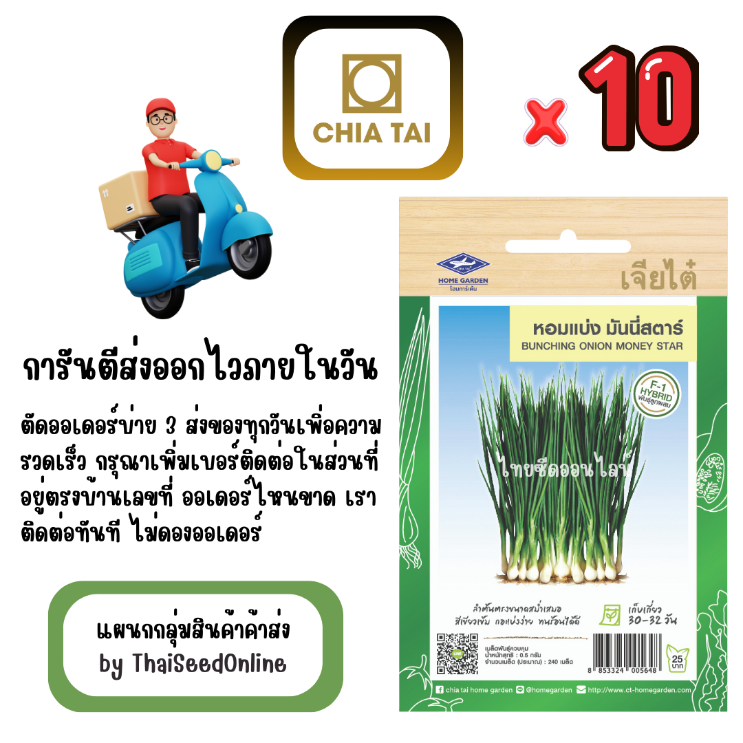 CTF1 x 10 เมล็ดผักซองเจียไต๋ หอมแบ่ง มันนี่สตาร์ สินค้ายกแพ็ค