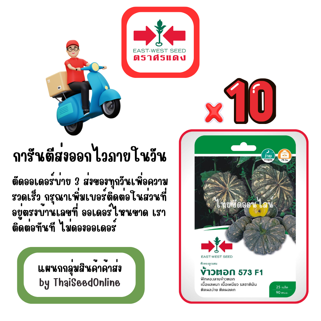 GGx10 เมล็ดผักซองศรแดง ฟักทองลายข้าวตอก 573 สินค้ายกแพ็ค