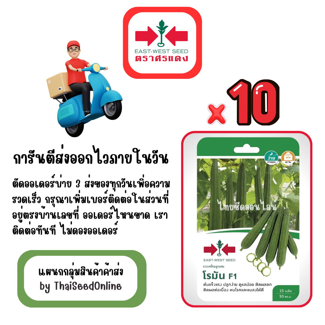 GGx10 เมล็ดผักซองศรแดง โรมัน บวบเหลี่ยม สินค้ายกแพ็ค