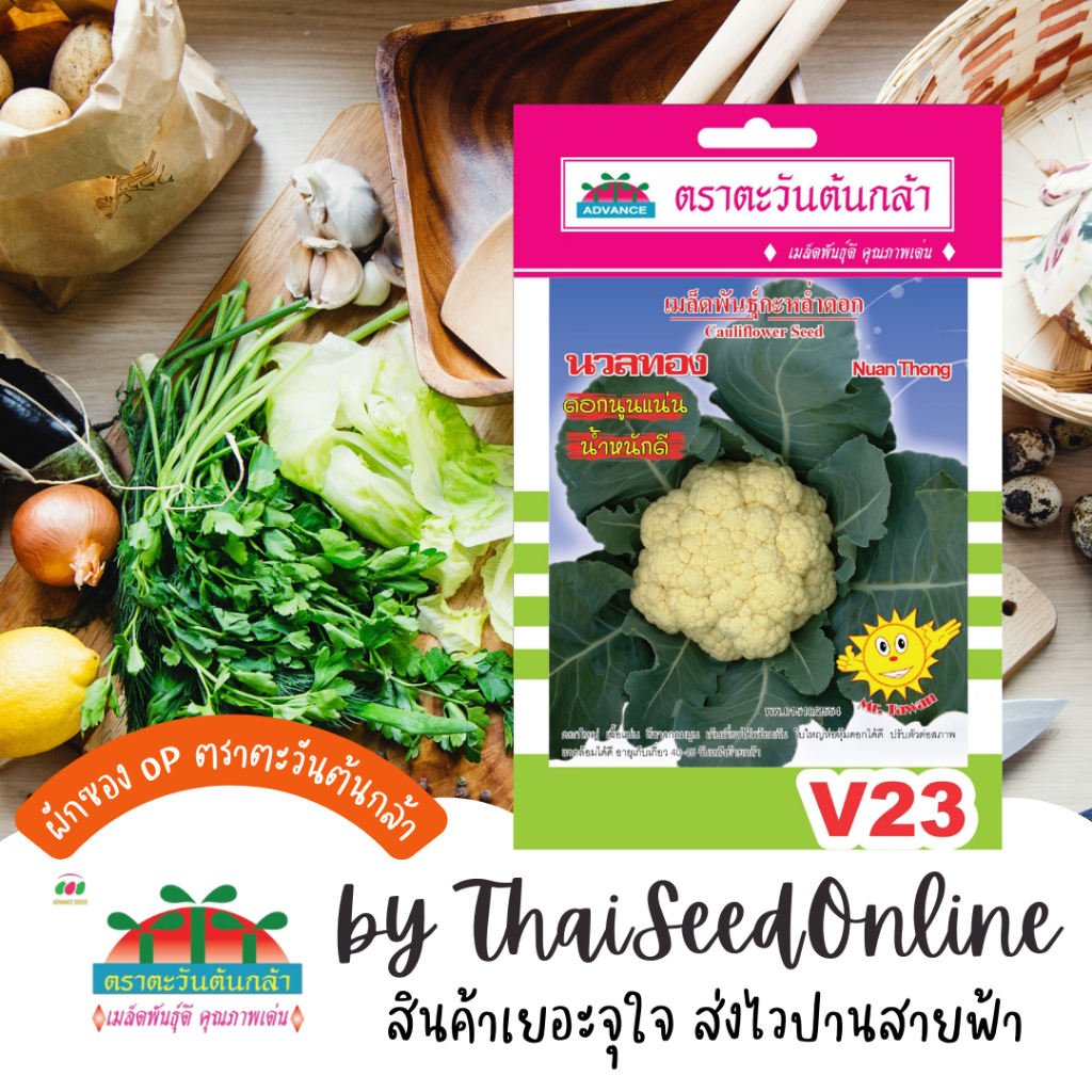 Advance Seeds(ตราตะวันต้นกล้า) ADVOP ซฟ เมล็ดพันธุ์ กะหล่ำดอก นวลทอง ประมาณ 200 เมล็ด ตราตะวันต้นกล้า V23
