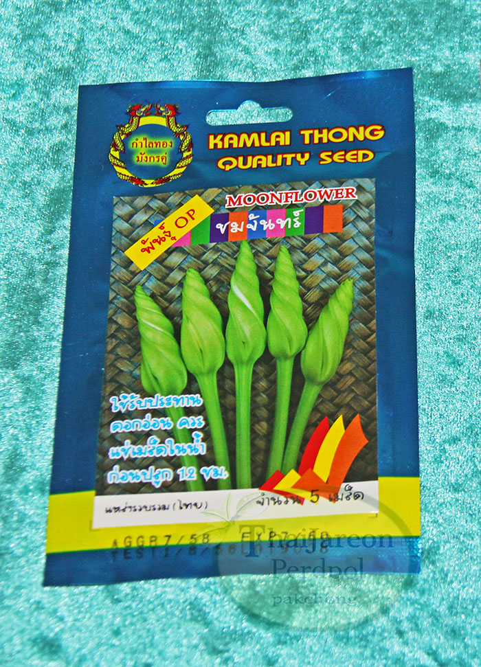 เมล็ดชมจันทร์ Moonflower