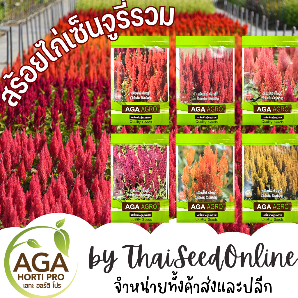AGA Agro(เอกะ อะโกร) AGAFW SPECIAL SET สร้อยไก่ประดับแปลง 6 สี ตราเอกะอะโกร