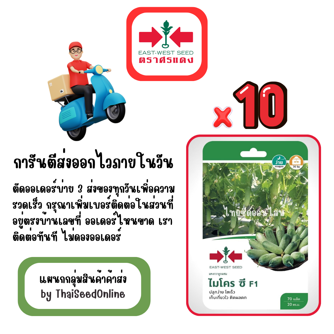 GGx10 เมล็ดผักซองศรแดง ไมโครซี แตงกวา สินค้ายกแพ็ค