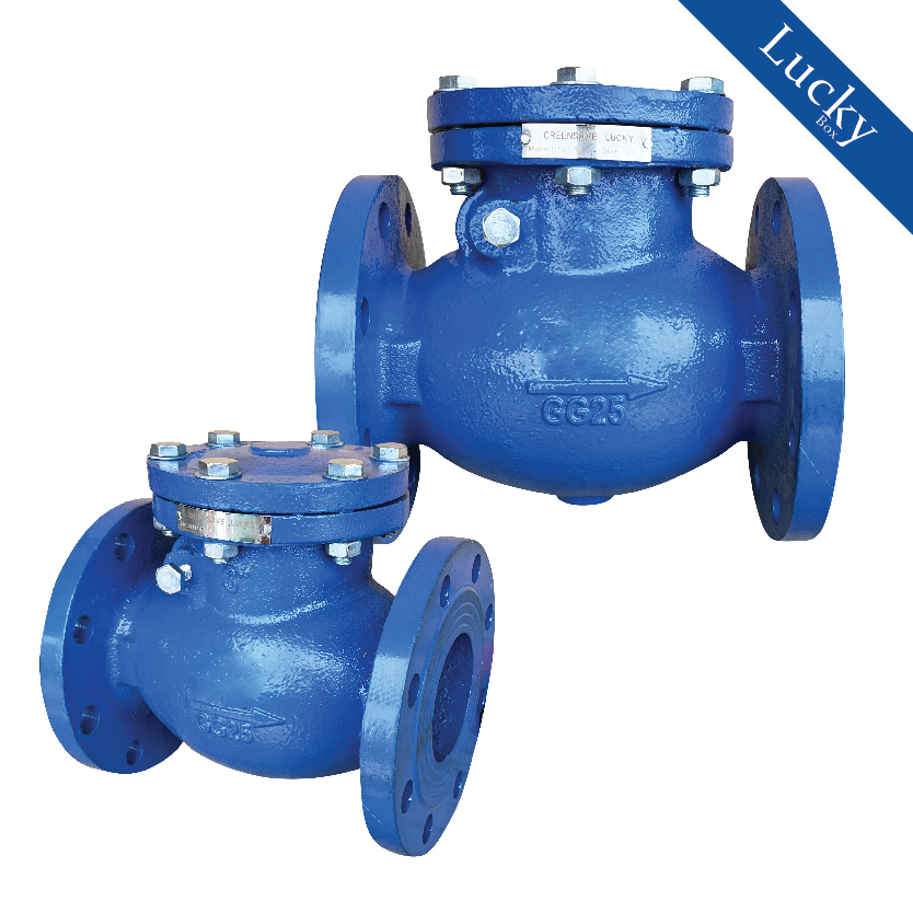 เช็ควาล์ว (Check Valve) เช็ควาล์วเหล็กหล่อ แบบหน้าแปลน ขนาด 6 นิ้ว