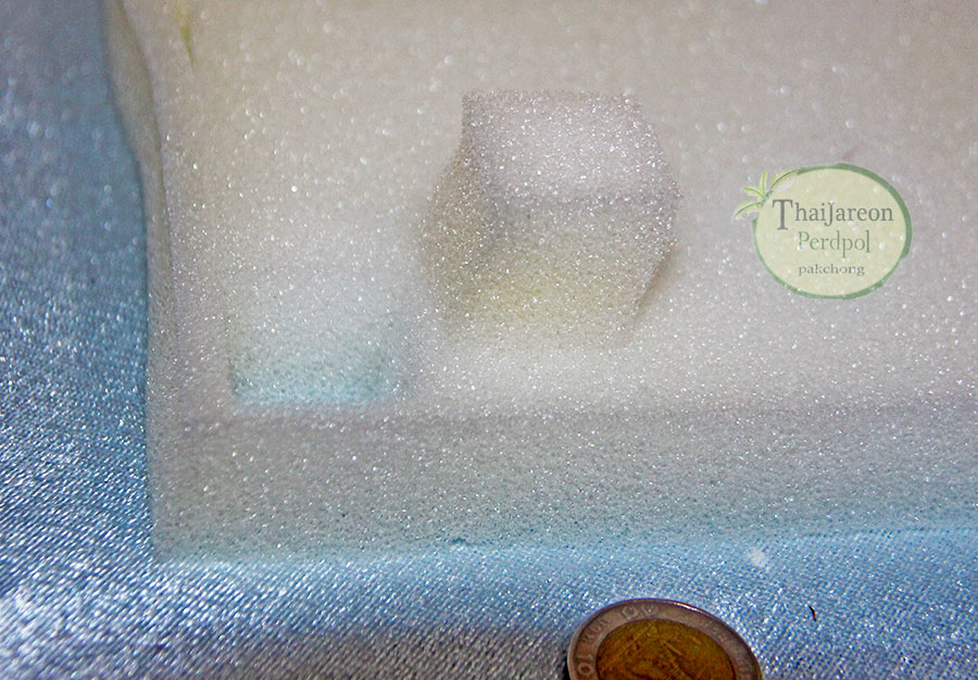 ฟองน้ำปลูกพืชไฮโดรโพนิกส์ ก้อนฟองน้ำมีขนาด 1 x 1 x 1 นิ้ว