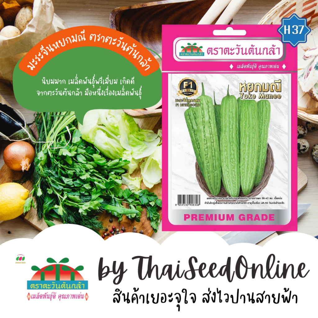 Advance Seeds(ตราตะวันต้นกล้า) ADVF1 หมดอายุ 9/2569 เมล็ดพันธุ์ มะระจีน F1 หยกมณี ตราตะวันต้นกล้า H37 Bitter Gourd มะระ