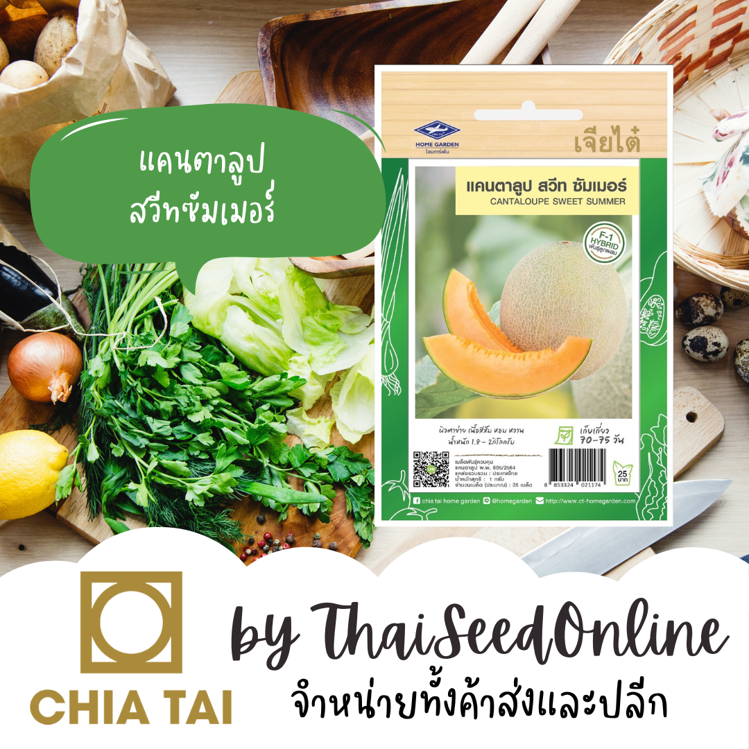 CTF1 เมล็ดพันธุ์ แคนตาลูป สวีท ซัมเมอร์ ตราเจียไต๋ Sweet Summer Cantaloupe