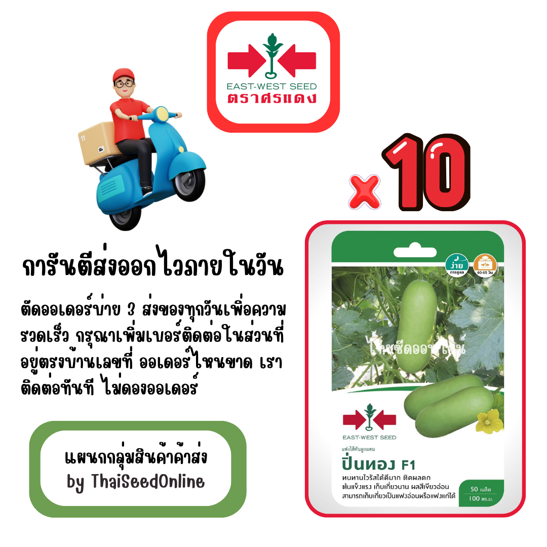 GGx10 เมล็ดผักซองศรแดง ปิ่นทอง แฟง สินค้ายกแพ็ค