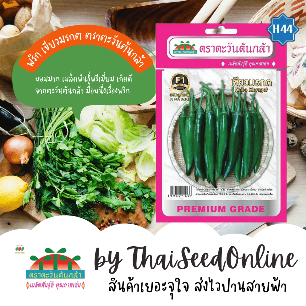 Advance Seeds(ตราตะวันต้นกล้า) ADVF1 ซฟ เมล็ดพันธุ์พริกลูกผสม พริก เขียวมรกต ตราตะวันต้นกล้า H44 Chillii Pepper