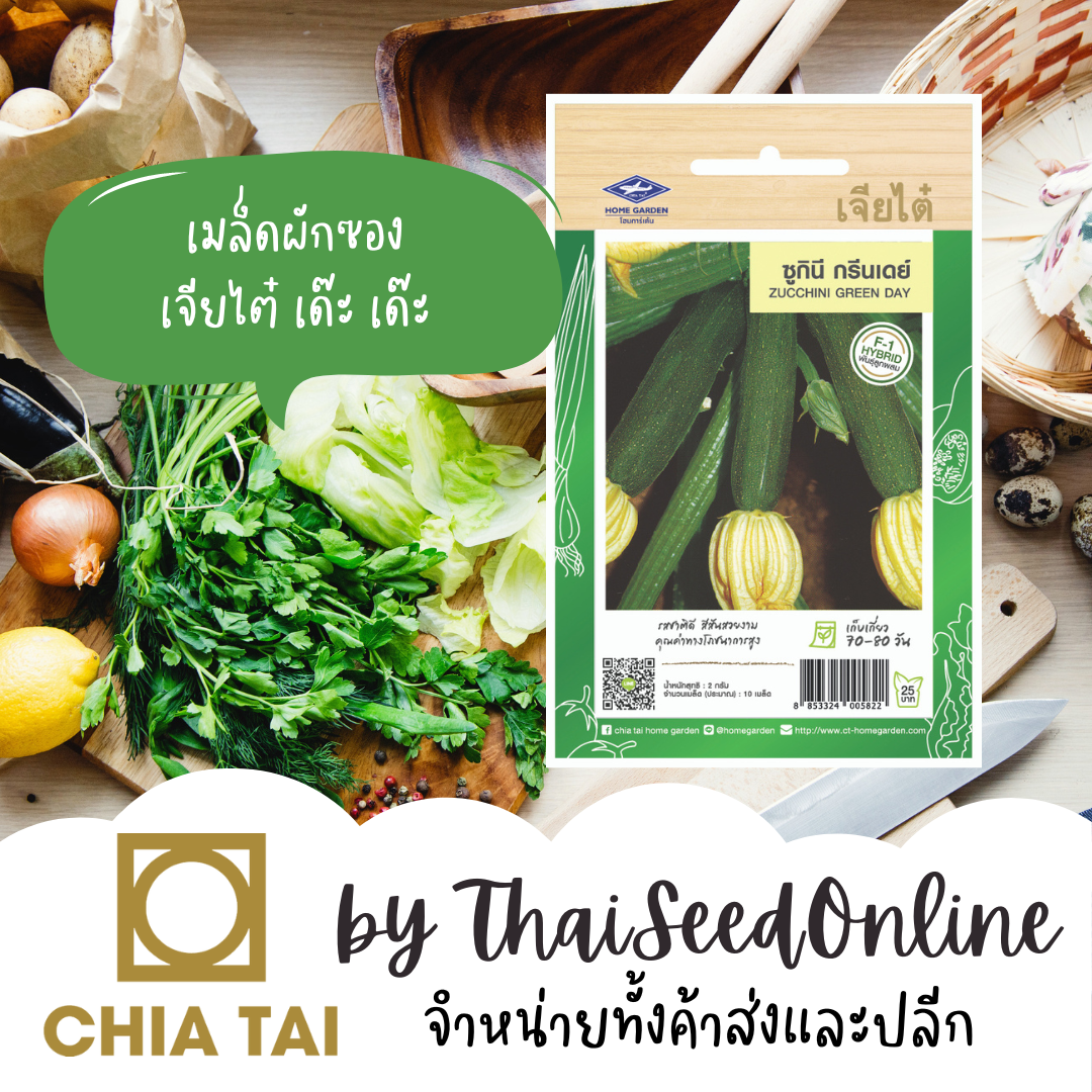 CTF1 เมล็ดพันธุ์ สควอชกรีนเดย์ ซูกินี่ ตราเจียไต๋ Zucchini GreenDay Squash Courgette